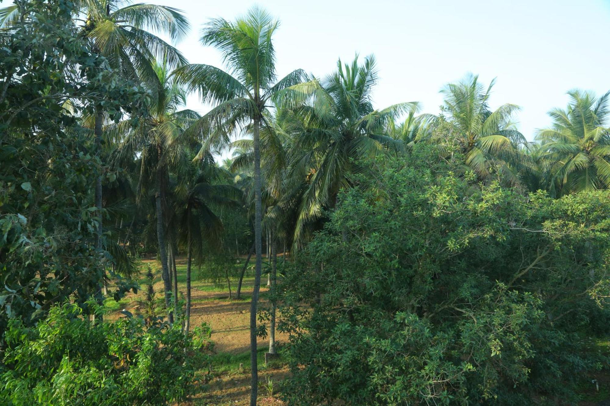 Misty Ocean - A Bergamont Group Of Hotel Kuilapalayam Extérieur photo